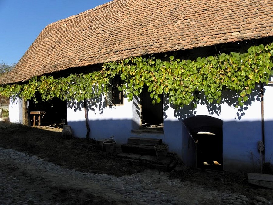 Mihai Eminescu Trust Guesthouses Transylvania Romania00010