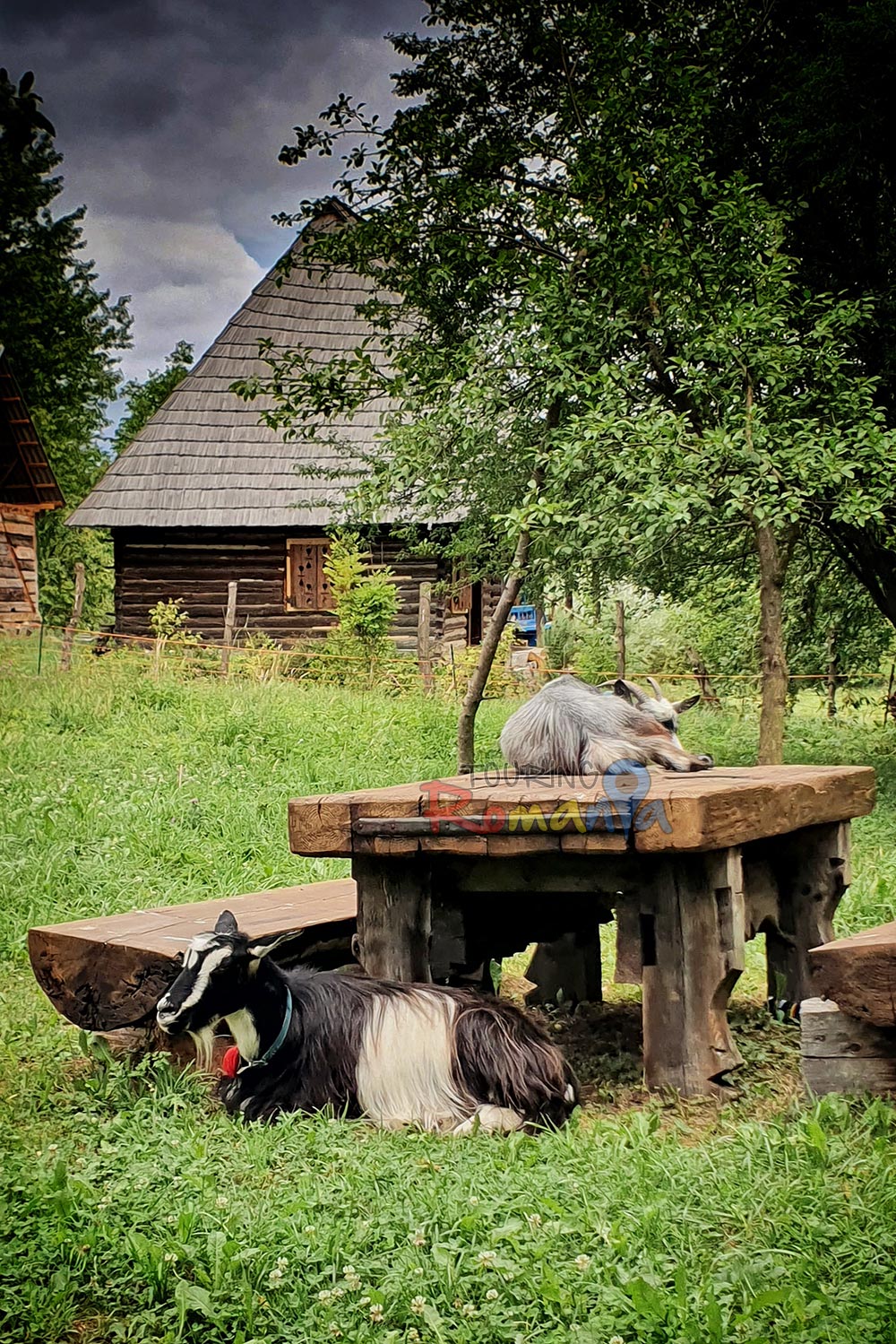 touring romania 2022 8